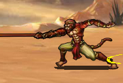 Monkey attack