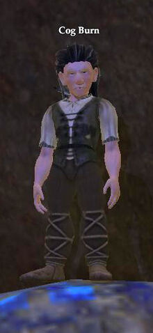 File:Cog Burn.jpg