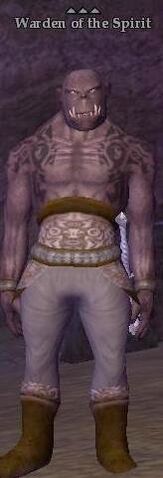 File:Warden of the Spirit.jpg