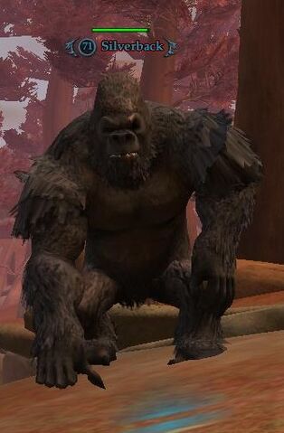 File:Silverback.jpg