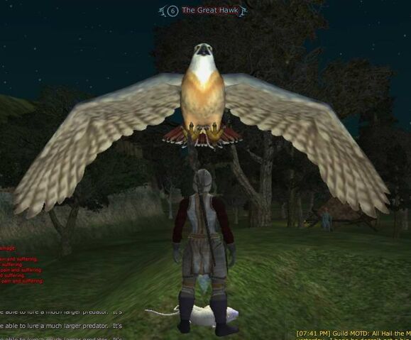 File:The Great Hawk attack.jpg