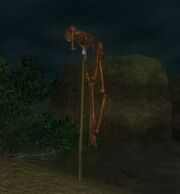 An impaled skeleton