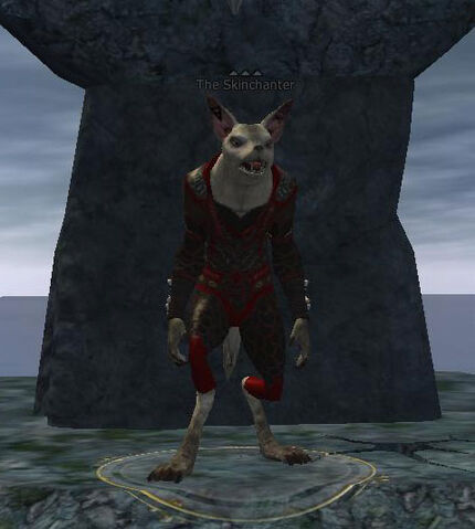 File:The Skinchanter.jpg