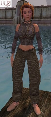 File:Bruiser's Vest (Visible, Female).jpg