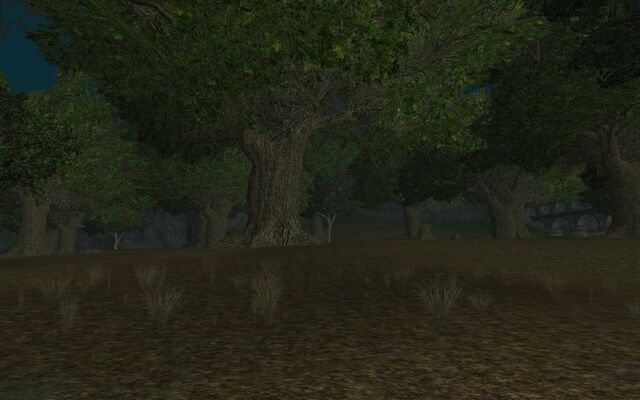 File:Glade of the Coven.jpg