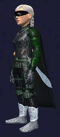 File:Gnomeland Stalkers (worn).jpg