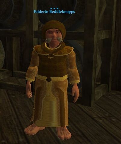 File:Felderin Beddleknopps.jpg