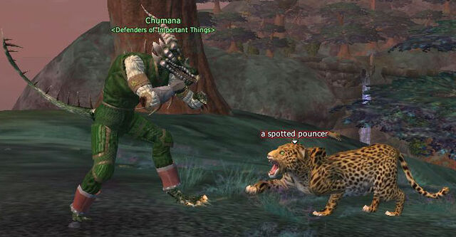 File:Spotted pouncer.jpg