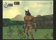 Assassin vellef