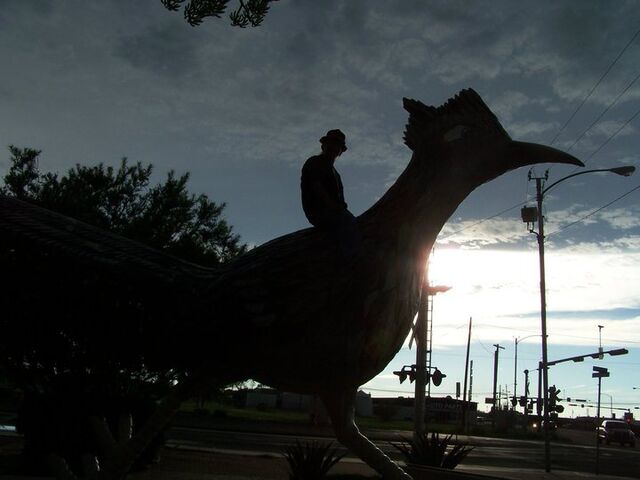 File:Xan on Chocobo.jpg
