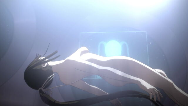 ファイル:Sidonia002.jpg