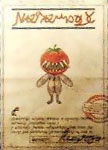 Tomate Perdido3.jpg