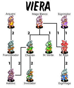 Viera oficiosA2.jpg