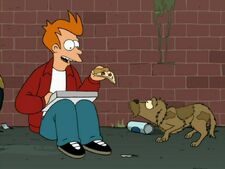 Fry Pizza 800.jpg