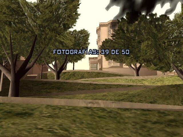 Archivo:Fotografía 39.jpg