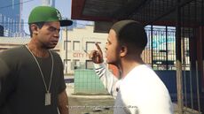 Lamar 8