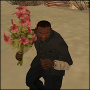 Flores.png