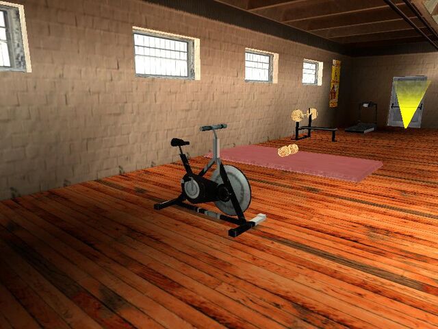 Archivo:Gym2.jpg