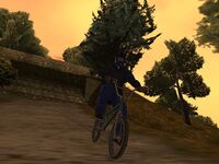BICI.jpg