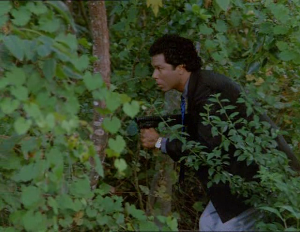 Archivo:80th Vice Bosque 3.png
