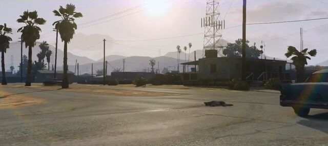 Archivo:Gtav-deadcoyote.jpg