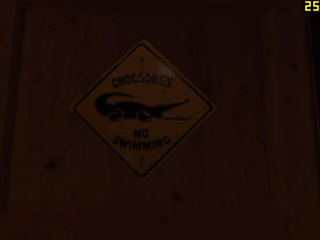 Archivo:Cocodrilos.jpg