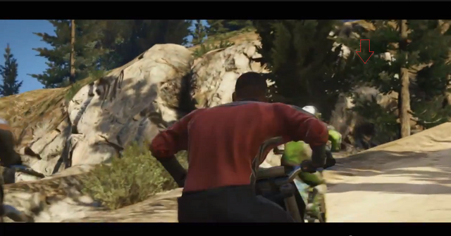 Archivo:Oso GTA V.png