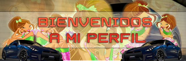 Archivo:PortadaGuidoM1995.png