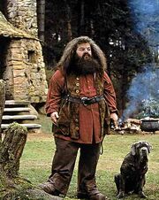 Hagrid l.jpg