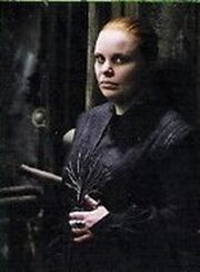 Alecto Carrow.jpg