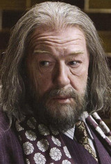 P6 Albus de joven.jpg