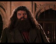 Hagrid returns.jpg