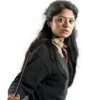 Padma Patil profile.jpg