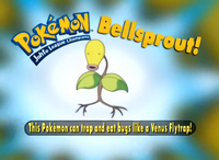EP208 Pokémon.png