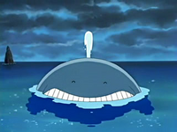 EP401 Wailmer