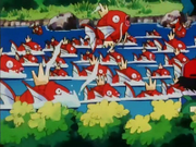 EP111 Magikarp.png