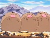 EP190 Swinub con el pelo erizado.png