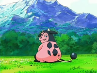 EP531 Miltank pastando.png