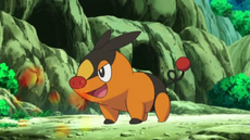 EP690 Tepig de Ash.png