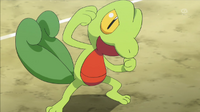 EP879 Treecko de Scottie.png