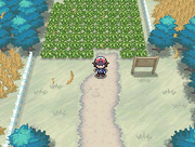 Pokémon BN Invierno.png