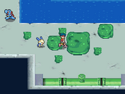 Pokémon Ranger Lodo de los Grimer.png