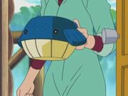 EP488 Cubo Wailmer.jpg