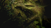 P18 Rayquaza en la presentación de la película