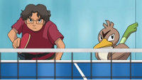 EP593 Farfetch'd junto a Wilkinson.png