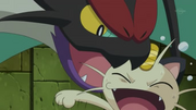 EP799 (2).png