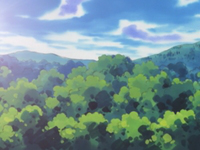 EP358 Bosque Shroomish