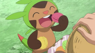 EP814 Chespin comiendo macarrones.png