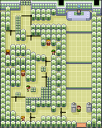 Ciudad Arborada Gimnasio.png