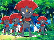 EP462 Varios Weavile.jpg